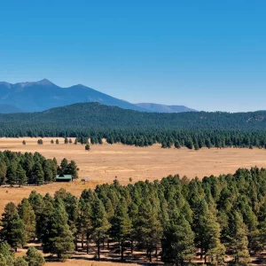 Add to the Beauty Women’s Event