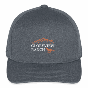 Flexfit  Melange Baseball Cap